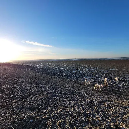 Wierums Huske aan de Waddenzee Unesco Werelderfgoed Exterior foto