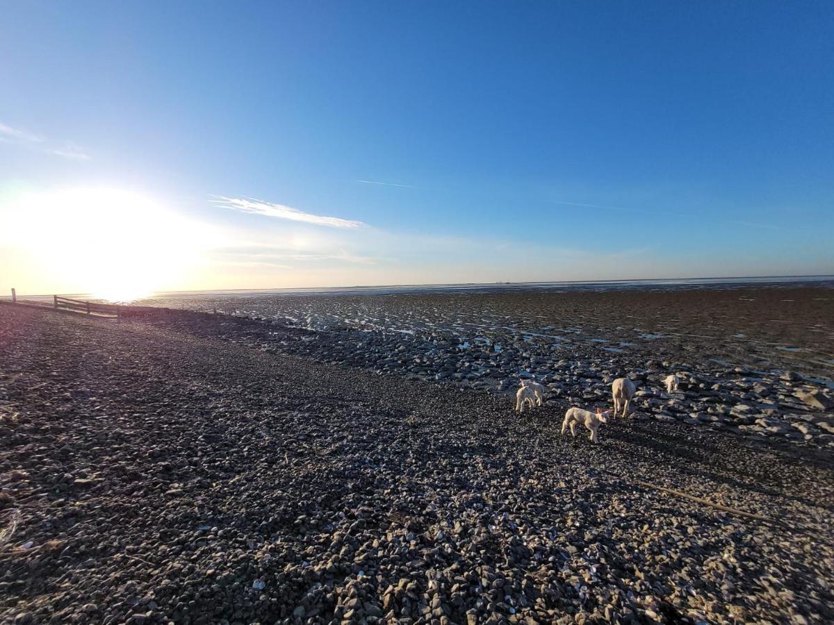 Wierums Huske Aan De Waddenzee Unesco Werelderfgoed * Wierum