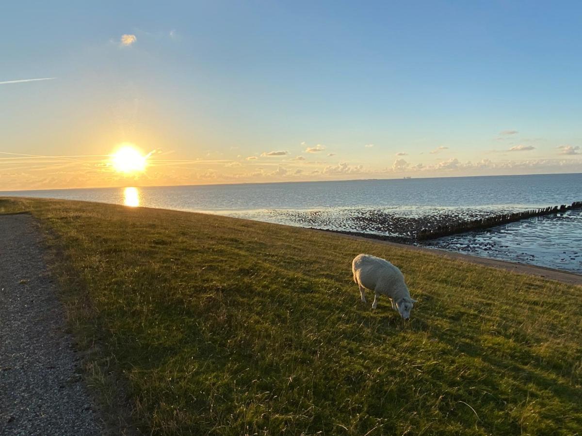 Hébergement de vacances Wierums Huske Aan De Waddenzee Unesco Werelderfgoed *